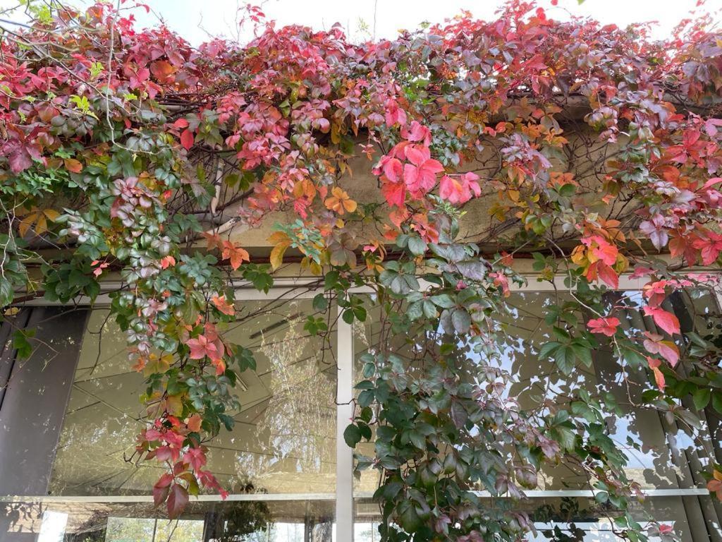 טרינידד Complejo Turistico Flores מראה חיצוני תמונה
